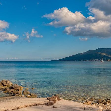 Seafront Spirit Apts Daire Zakintos Dış mekan fotoğraf